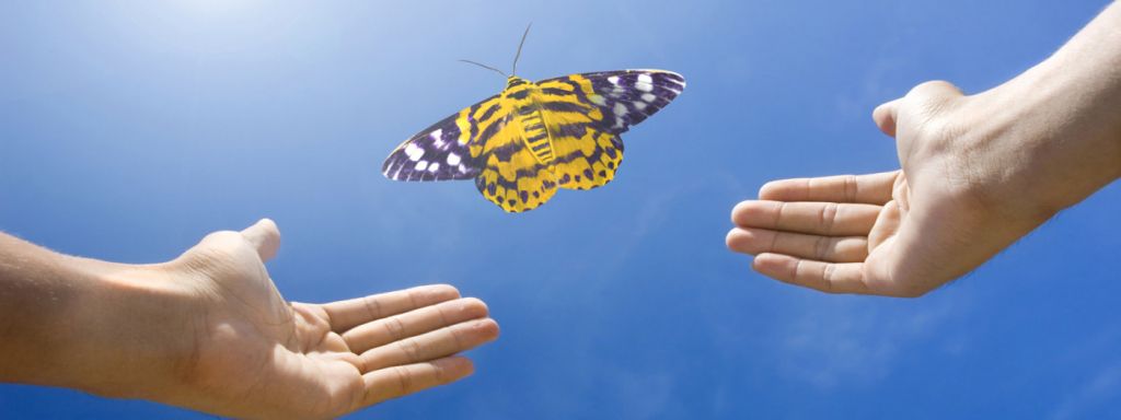 созависимость, родственники алкоголиков наркоманов