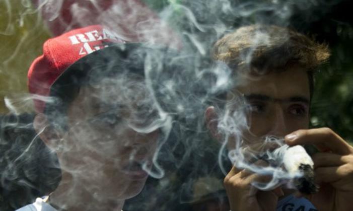 Влияние спайса на организм подростка